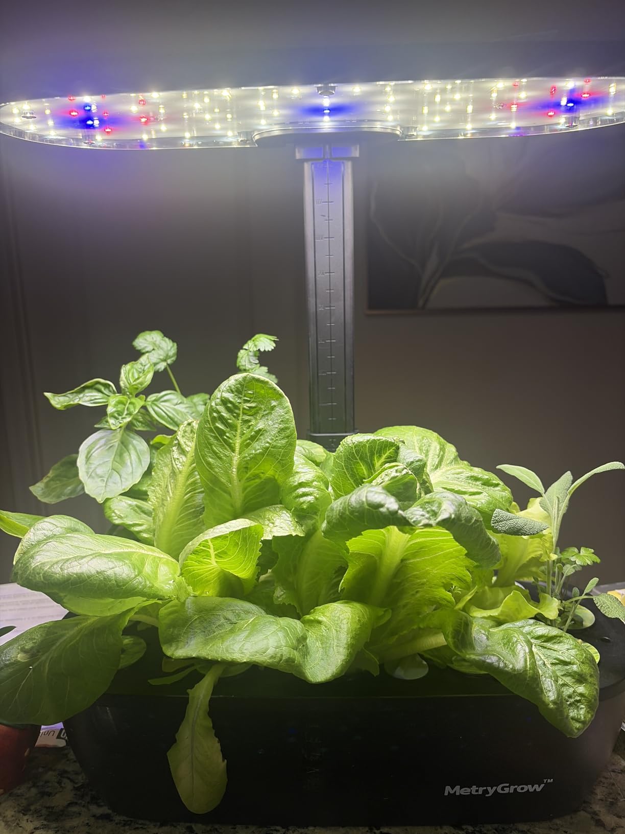 MG-15 Hydroponic Growing System Kits, Smart Indoor Garden with 24W Grow LED Light Full Spectrum, 15 Pods Herb Garden Planter Indoor Gardening customer photo 2