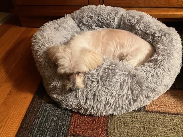 Calming Pet Bed with Water-Resistant Inner Liner - Anti-Anxiety Donut Dog & Cat Bed with Removable Washable Cover - Supportive Plush Nest, Non-Slip & Cushion Protection - Small, Grey customer photo 1
