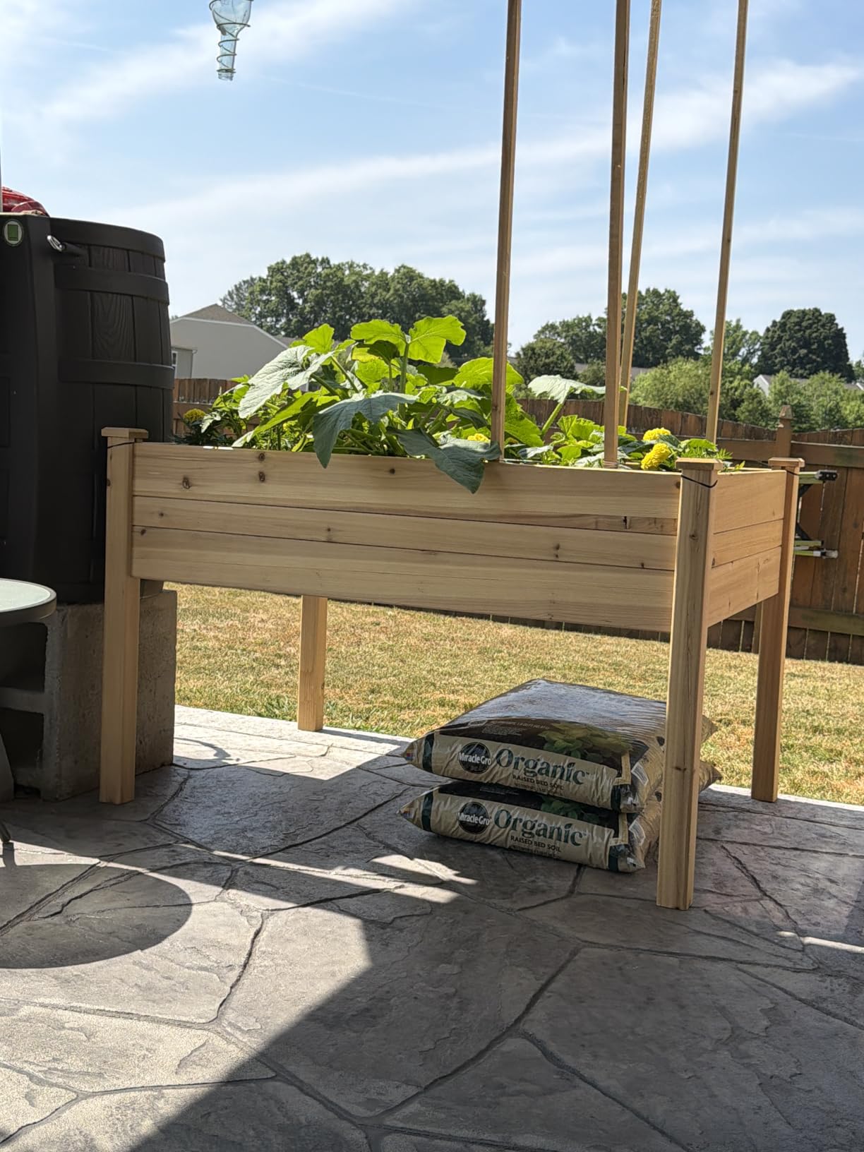 Backyard Expressions Wooden Raised Garden Bed | 48