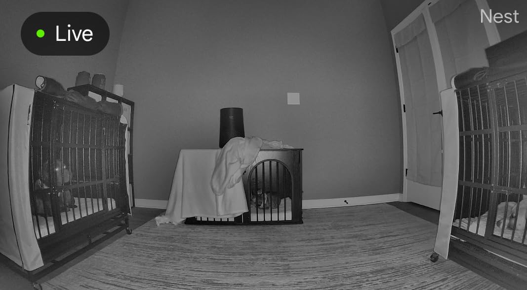 Nest Cam Indoor (Wired, 3rd Gen) - Security Camera with 2K Video and Gemini, Night Vision, 2-Way Audio, Works with Google Home - 2025 Model - Snow customer photo 1