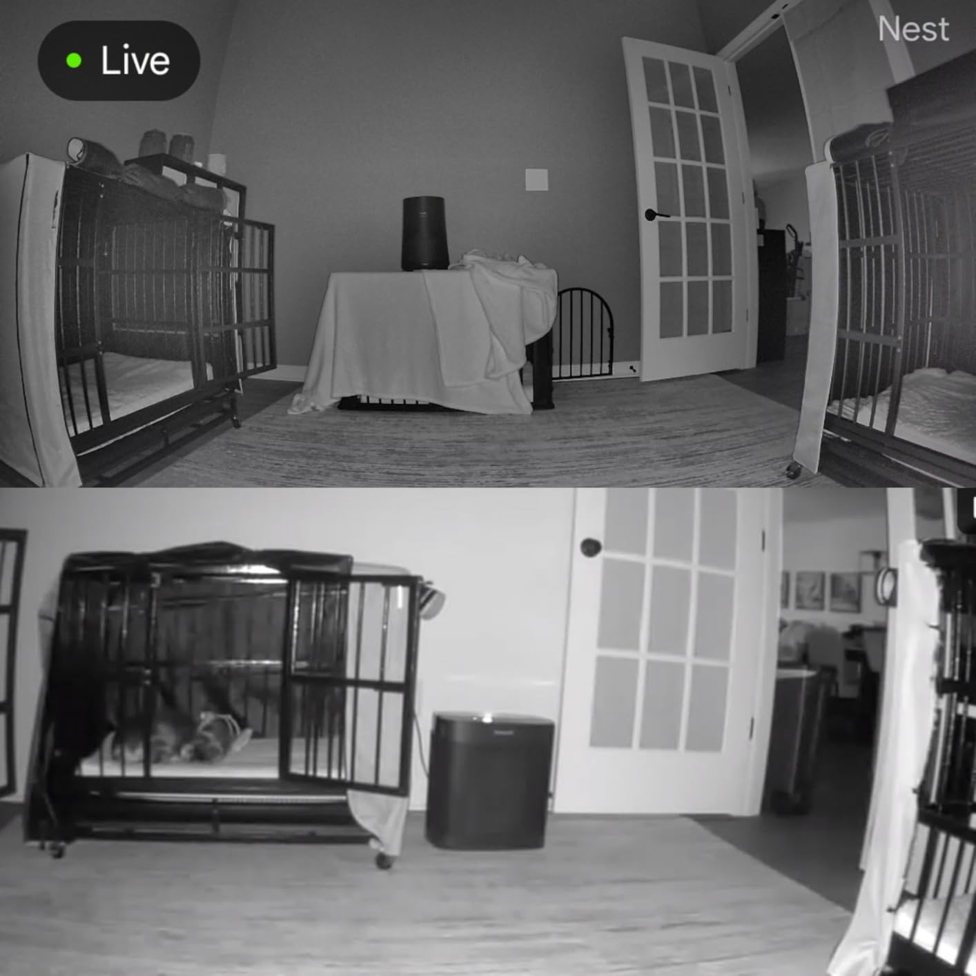 Nest Cam Indoor (Wired, 3rd Gen) - Security Camera with 2K Video and Gemini, Night Vision, 2-Way Audio, Works with Google Home - 2025 Model - Snow customer photo 2
