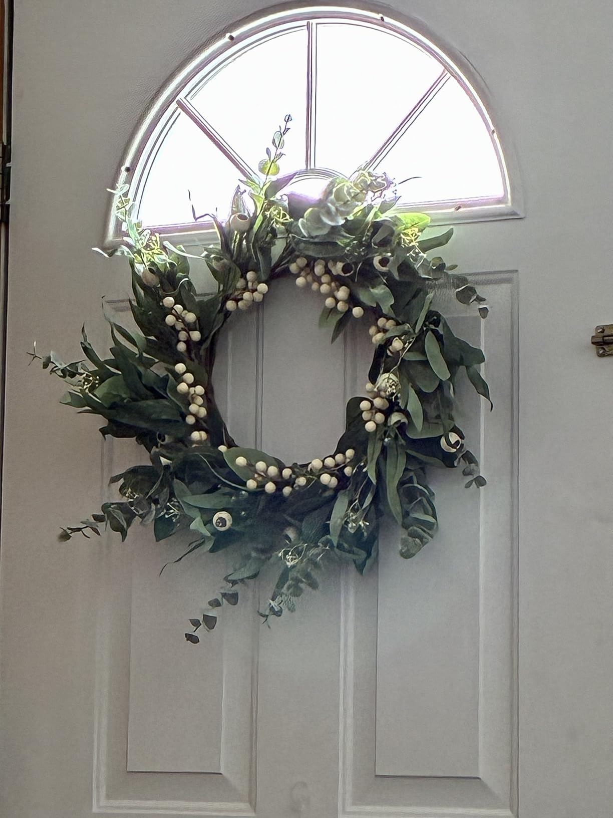 24'' Real Touch Norfolk Pine Wreath Artificial Christmas Green Wreath for Front Door with Red Berries Pinecones Christmas Decorations for Winter Farmhouse Wall Indoor Outdoor Home Holiday Xmas Decor customer photo 2