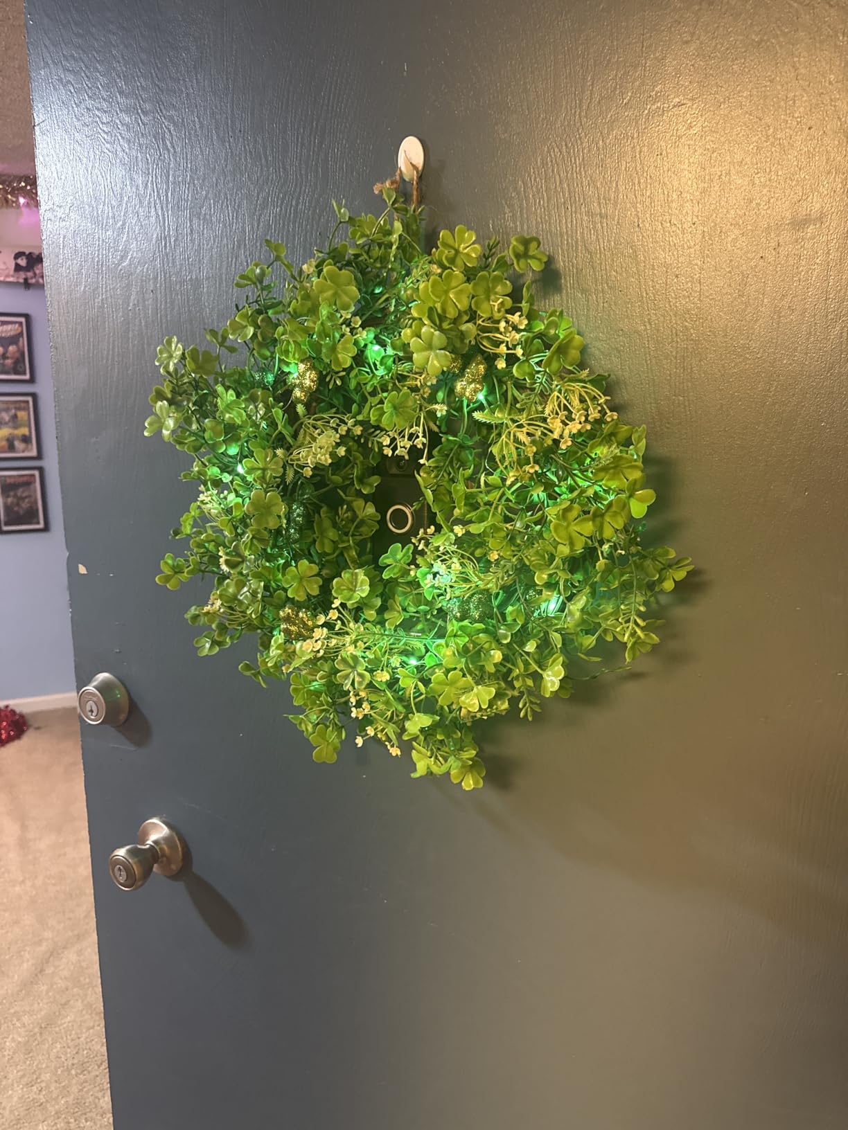 20 Inch Easter Wreaths for Front Door Easter Decorations, Easter Wreath with 20 LED Lights Colorful Eggs Flowers Leaves Berried Spring Wreath Decor for Home Holiday Farmhouse Indoor Outdoor customer photo 2