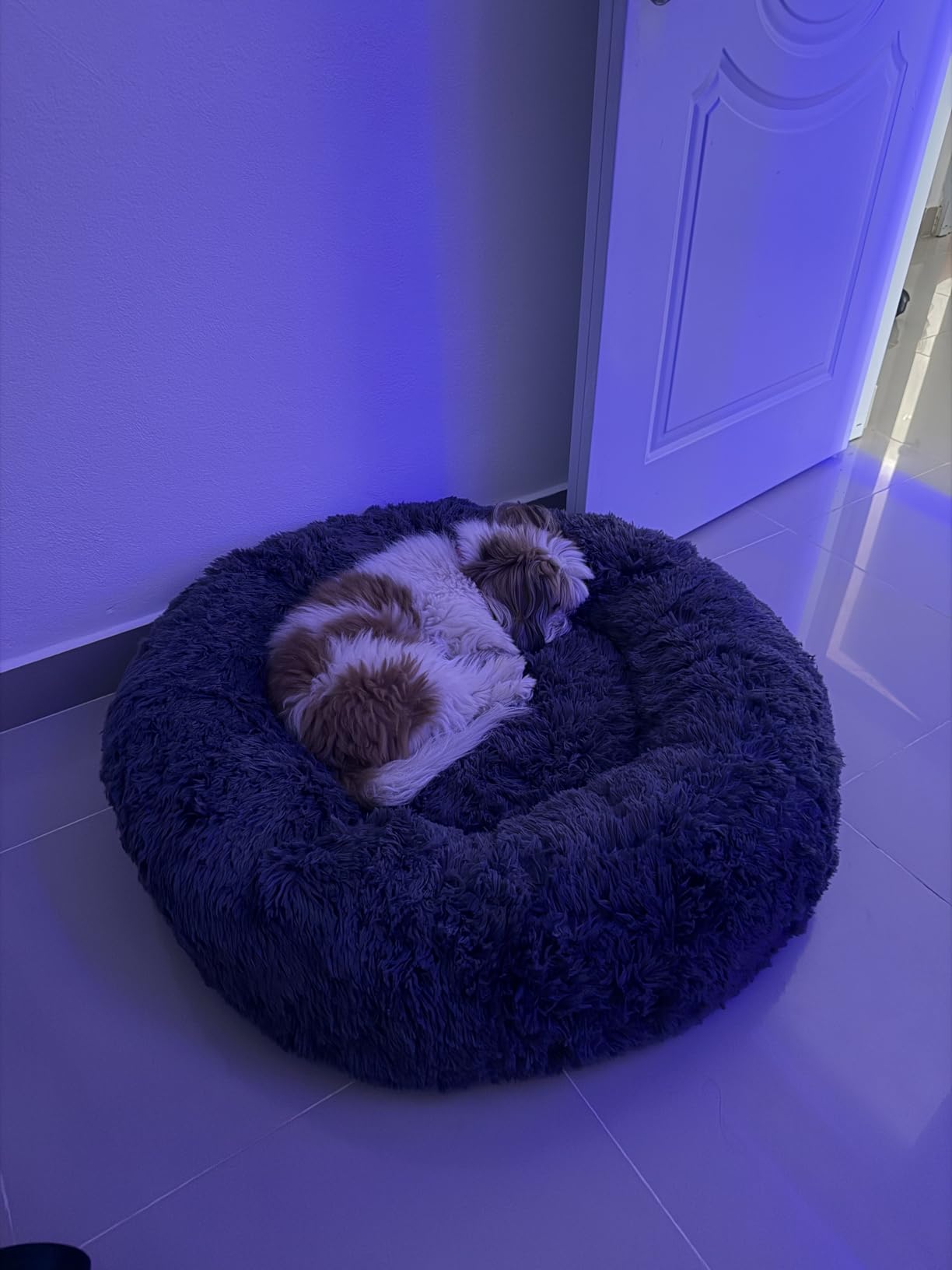 Bedsure SupportMax Calming Dog Beds Large Sized Dog - 36in Donut Washable Large Pet Bed, Anti-Slip & Removable Cover, Round Anti-Anxiety Fluffy Plush Faux Fur Bed, Fits up to 80 lbs Pets customer photo 2