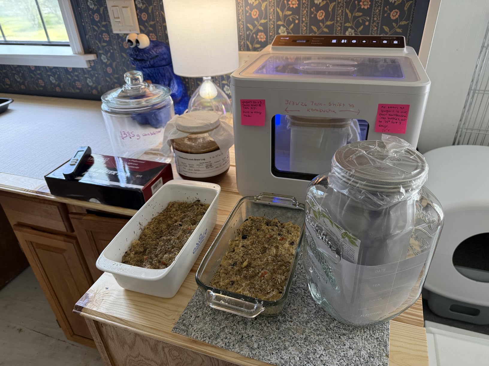 12.8L Smart Yogurt Maker Machine & Fermentation Kit, Kombucha, Kimchi, Natto, Tempeh, Sourdough Maker, Temp Control 50-115F, Timer 1 Hr - 30 Day, Post-Ferment Cooling customer photo 2