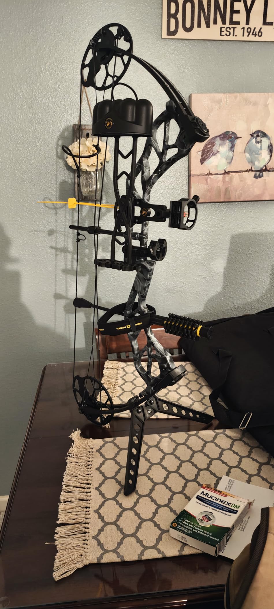 Topoint Archery Compound Bow Pro Set Easy to Adjust No Bow Press Needed, 19-31