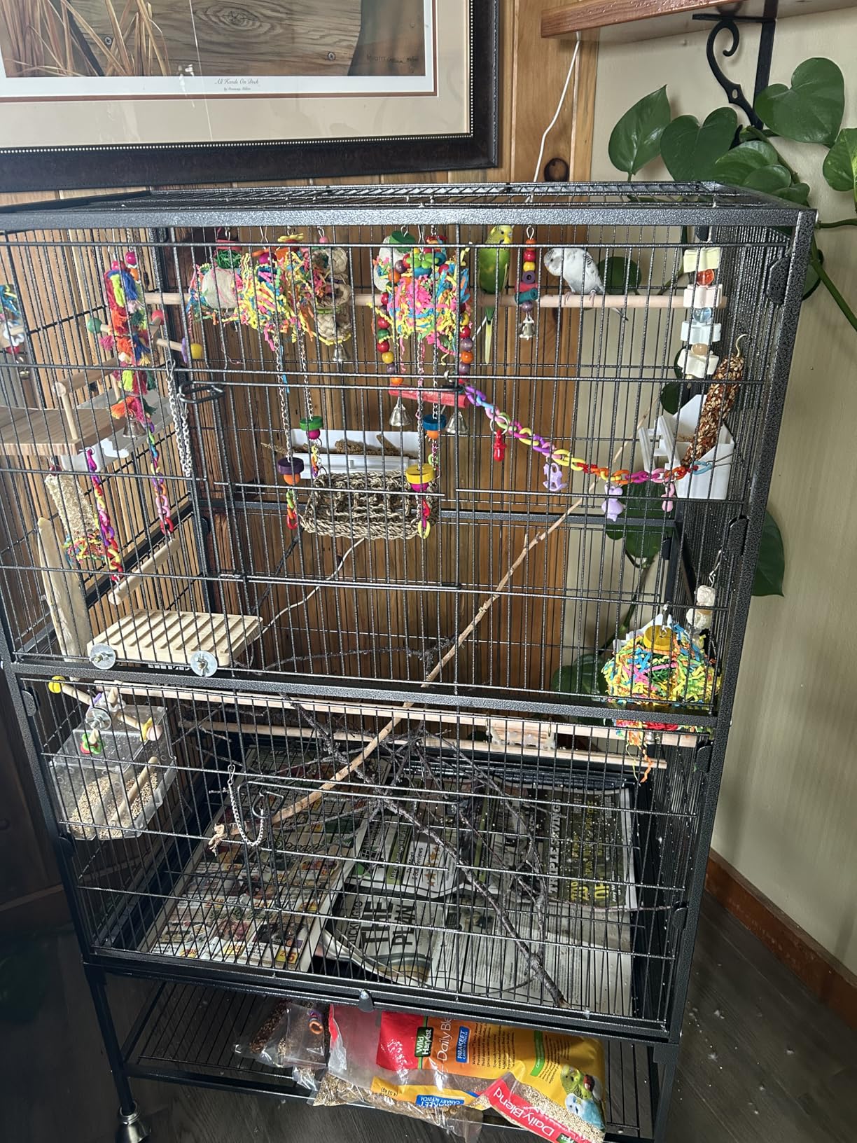 VEVOR Bird Cage, 32.7 x 31.1 x 82.7 inch, Open Flat Top, Wrought Iron Bird Flight Cage with Perches, Slide-Out Tray, Plastic Feeders, for Cockatiel, Monk Parakeet, Amazon Parrot, African Grey Parrot customer photo 1