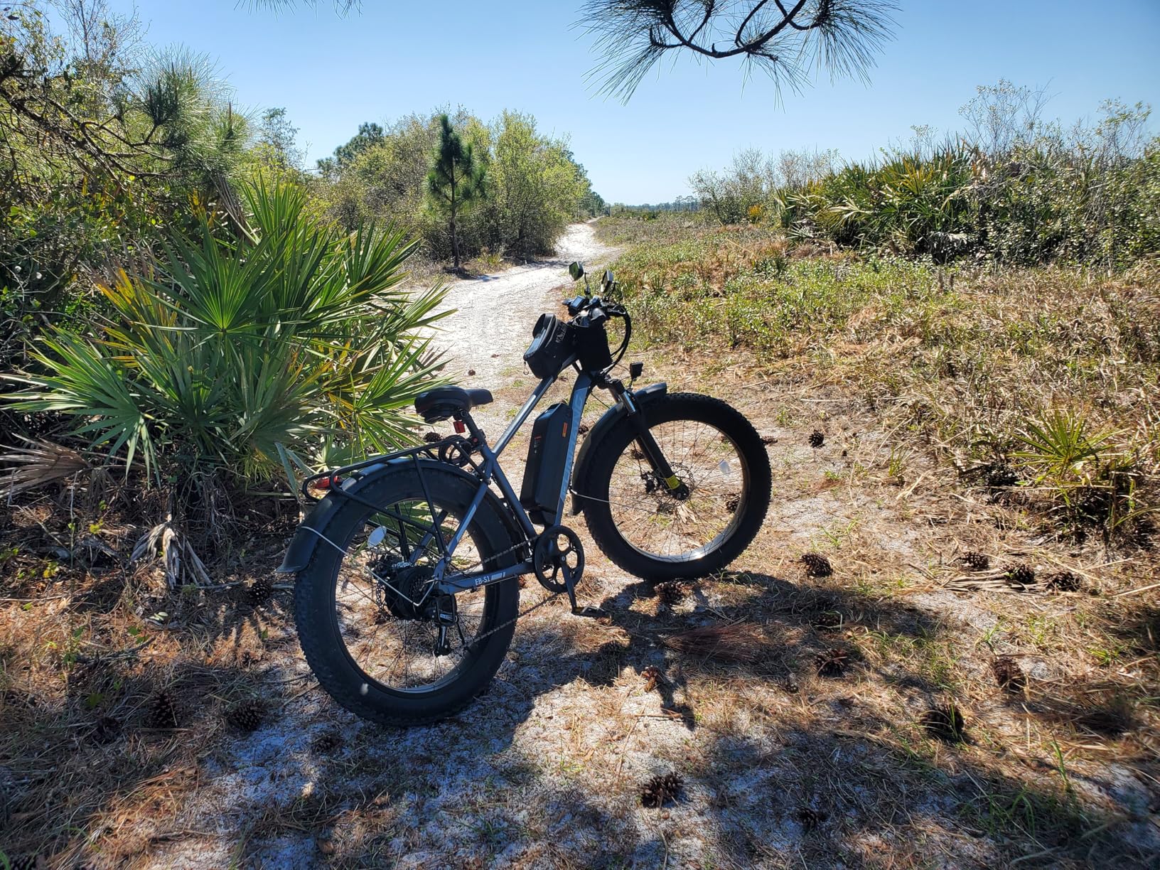 Electric Bike for Adults, 1000W Peak 20MPH 60Miles Ebike, 48V 13AH Battery Electric Mountain Bike, 26