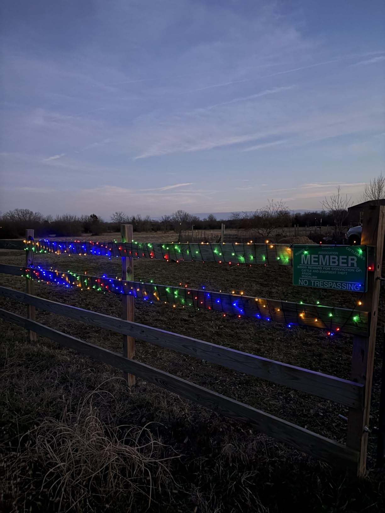 Toodour Solar String Lights Outdoor Waterproof, 56ft 100 LED Globe String Light with 8 Mode, Crystall Ball Lights Solar Patio Lights for Garden, Lawn, Patio, Gazebo, Yard, Outdoor Decor - Warm White customer photo 2