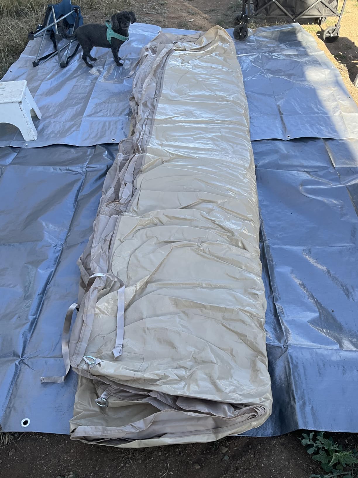 Inflatable Tents for Camping, Easy Setup Inflatable Tent with Canopy, Large Glamping Tent with Pump,Waterproof Oxford 4 Season Air Tent with Skylight Mesh Windows for 2/4/6/8/12 Person customer photo 1
