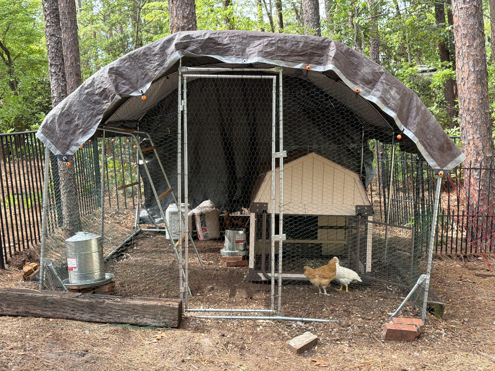 Quictent Essential Series 12x9x6.6ft Metal Chicken Coop Run with Climbing Ladder, Walk-in Outdoor Poultry Cage with PVC Coated Chicken Wire, Hen Duck Rabbit Farm House, Waterproof Anti-UV Cover customer photo 1