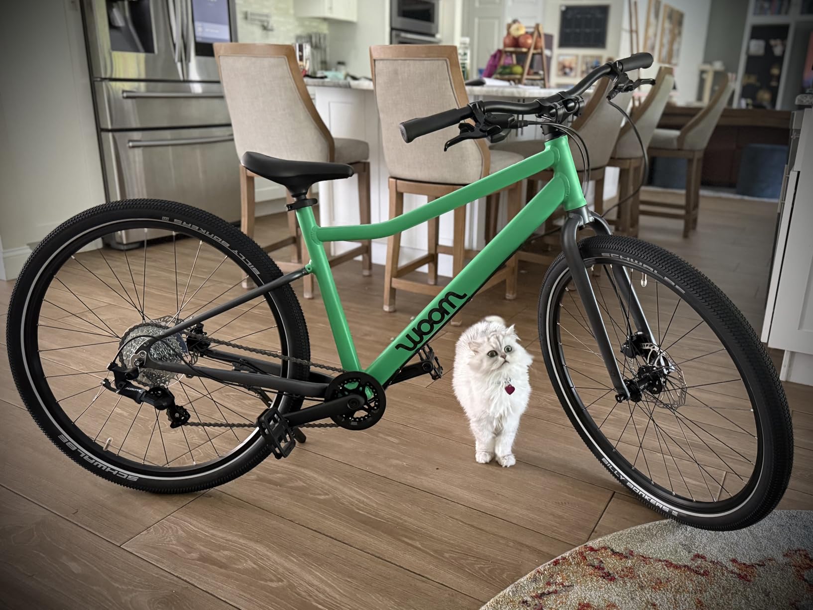 woom Explore Bicycle for Kids 6-14 Years Old, Road & Mountain Ready Bikes with Powerful Disc Brakes, 20 Inch Wheels customer photo 1