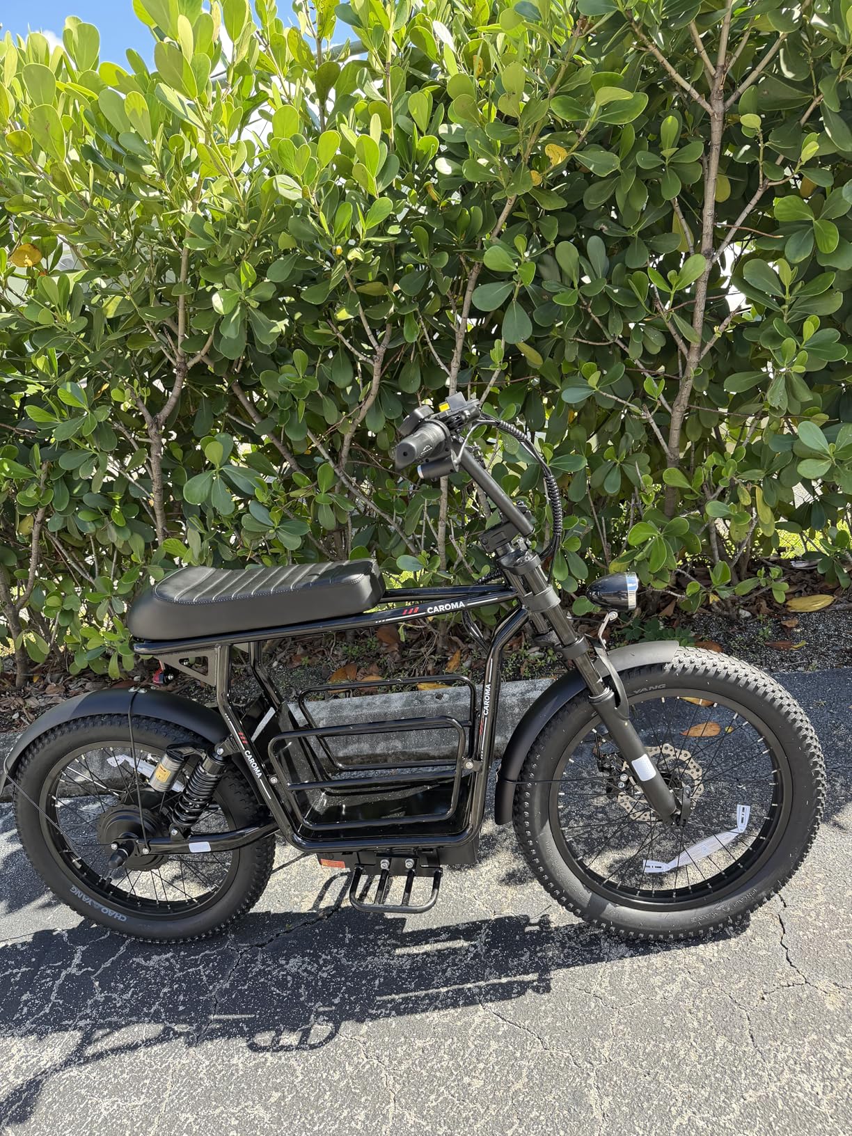 Caroma Electric Scooter with Seat for Adults, 1000W Peak Motor, 25Miles Range & 20Mph, Multiple Suspension, Electric Motorcycle Mini Bike with Basket for Pets & Cargo, UL 2272 Certified customer photo 2