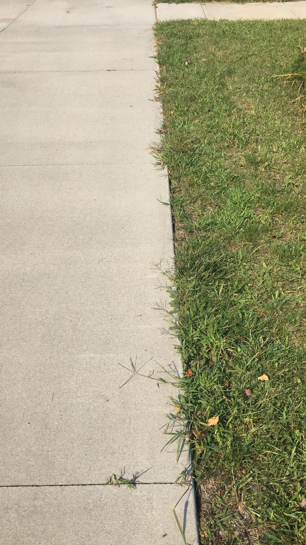BLACK+DECKER Edger & Trencher, 2-in-1, 12-Amp (LE750) customer photo 2