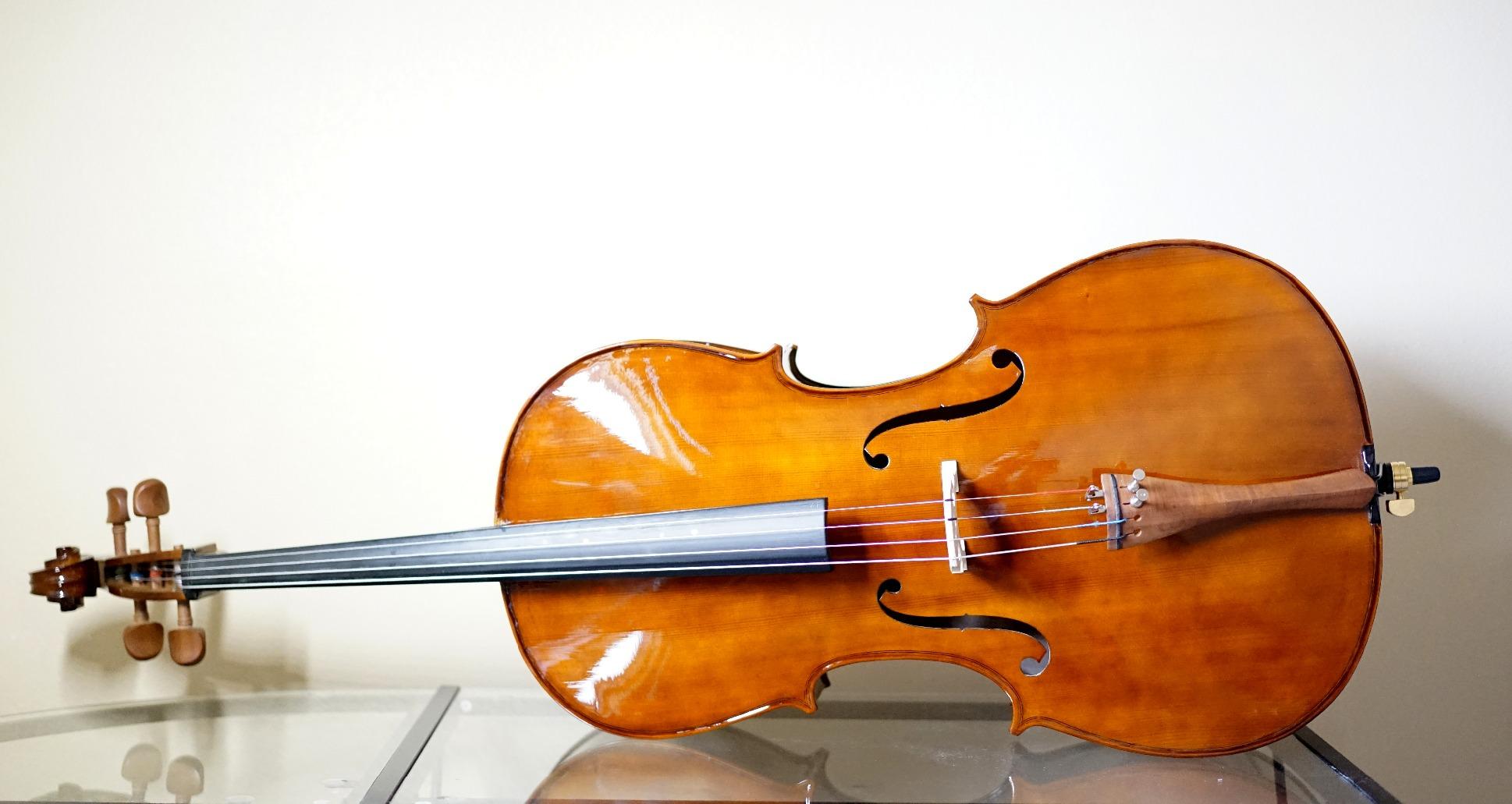 CCO-300 Solid Wood Cello with Hard & Soft Case, Stand, Bow, Rosin, Bridge and Extra Set of Strings, Size 4/4 (Full Size) customer photo 1