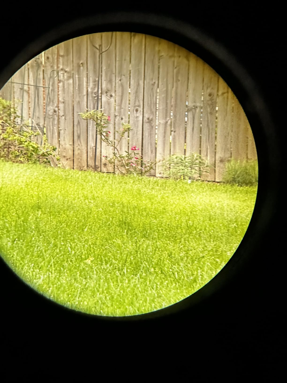 Vortex Optics Solo Monocular 10x36 - Utility Clip, Adjustable Eyecup, Fully Multi-Coated Lenses, Rubber Armor, Non-Slip Grip, Fogproof, Waterproof - Unlimited, Unconditional Warranty customer photo 1