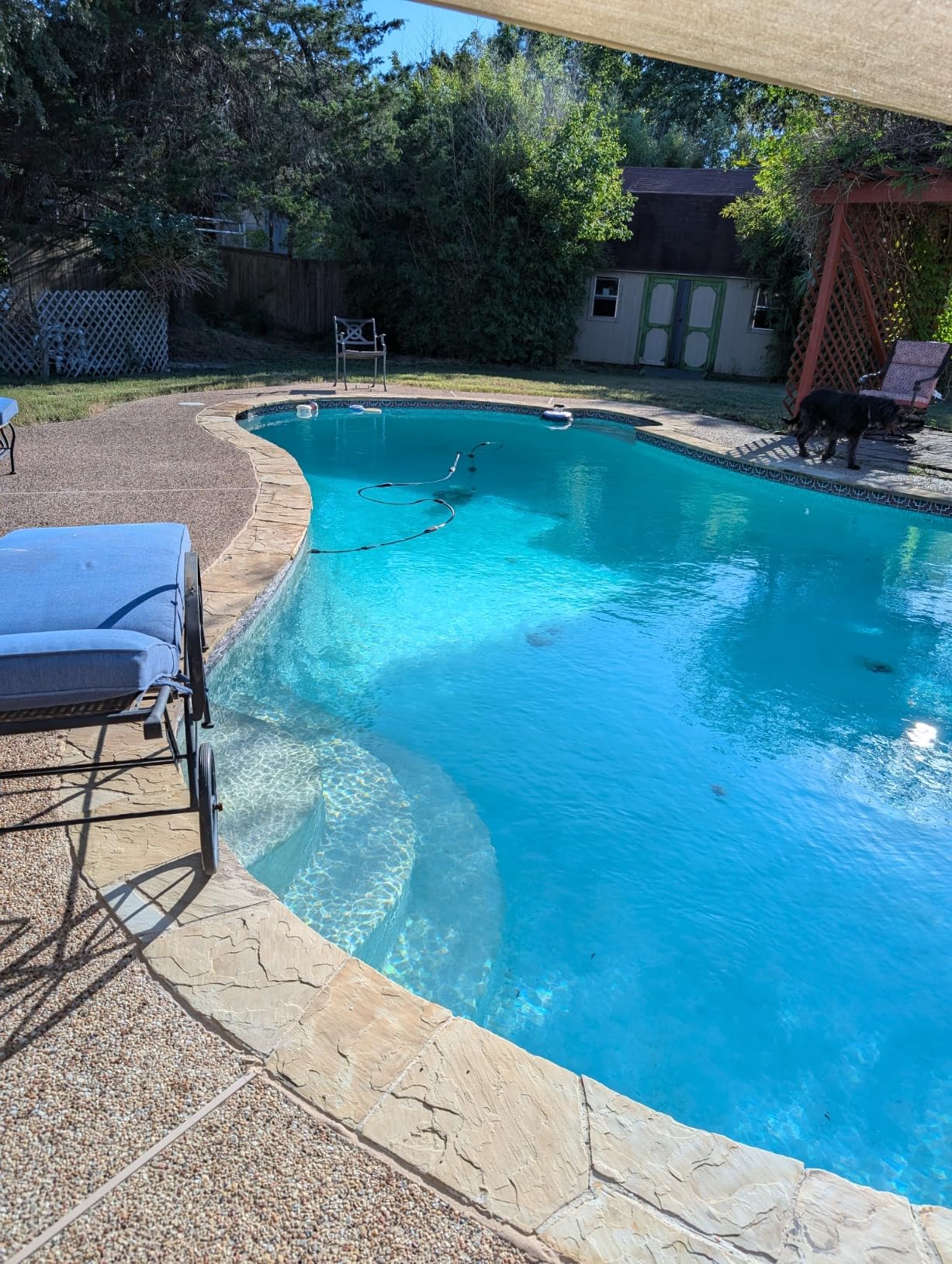 Robelle 24-Pounds Premium D.E. for Pool Filters, Diatomaceous Earth DE Pool Filter Powder, Made in USA customer photo 1