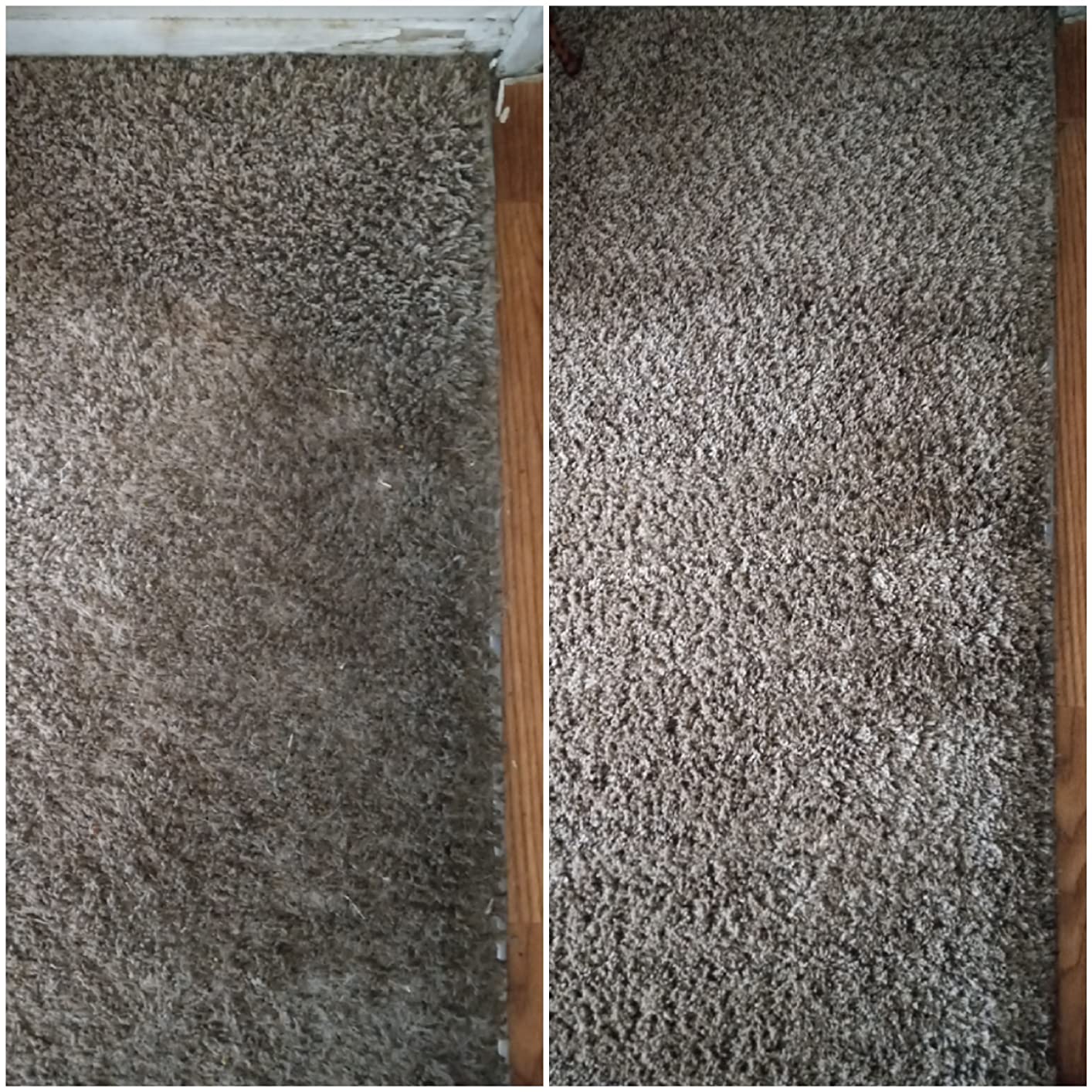 Resolve Professional Strength Spot and Stain Carpet Cleaner, 32 Fl Oz customer photo 2