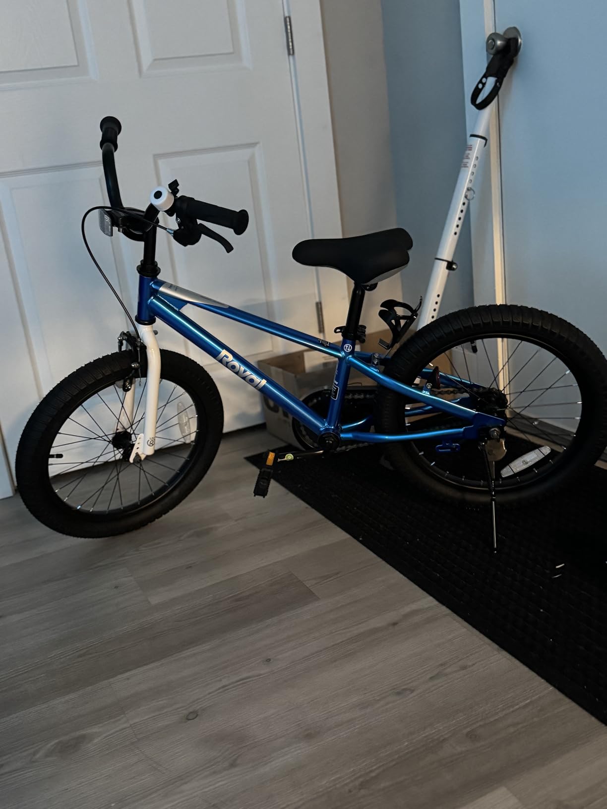 RoyalBaby Freestyle Kids Bike 12 14 16 Inch with Training Wheels, Bicycle for Ages 3-10 Years Boys Girls customer photo 2