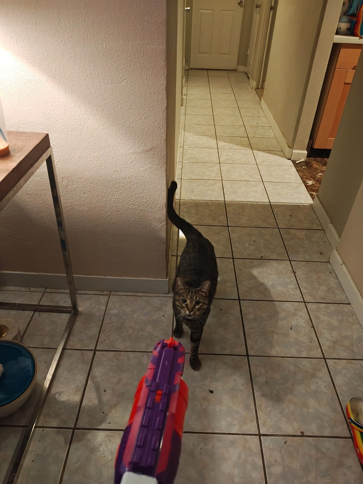 NERF N Strike Elite Strongarm Toy Blaster with Rotating Barrel (Amazon Exclusive) customer photo 2