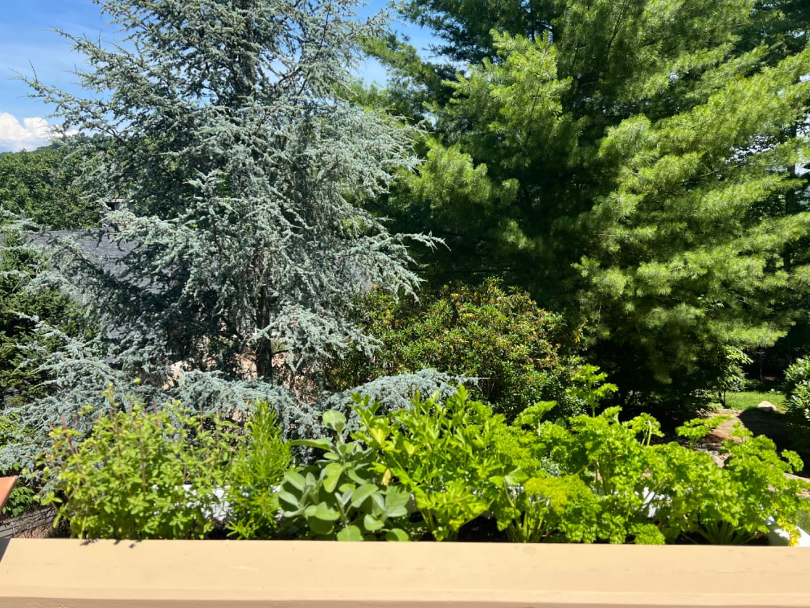 Mayne Cape Cod 3ft Window Box - White - 36in L x 11in W x 10.8in H - with 6.5 Gallon Built-in Water Reservoir (4840-W) customer photo 2
