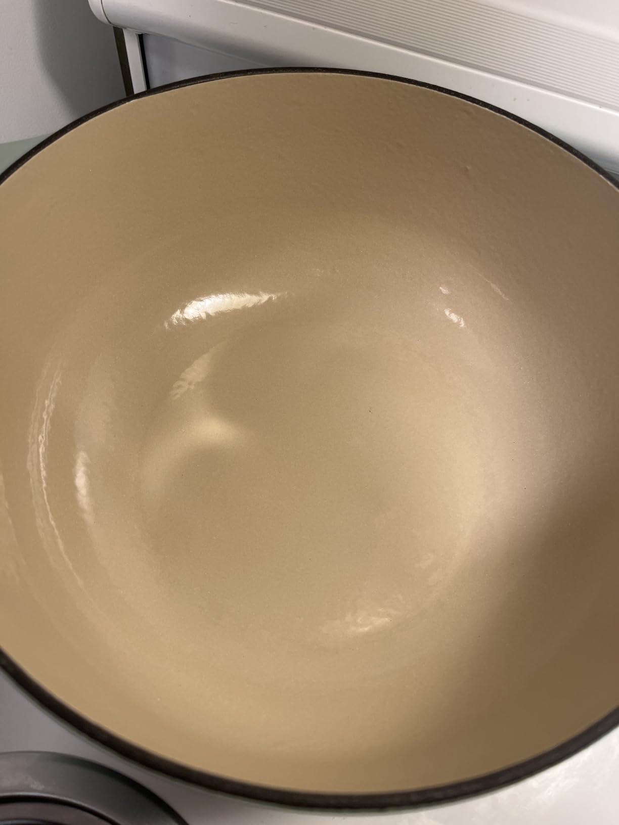 Lodge Essential Enamel Cast Iron Dutch Oven 6 Quarts - Perfect for Bread Baking, Braising, Marinating & Slow Cooking, Features Moisture-Sealing Lid & Dual Handles, Oyster White customer photo 1