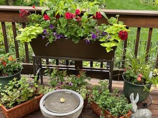 Veradek Pure Series Window Box Planter - Long Rectangular Planter for Indoor or Outdoor Windowsill/Balcony | Durable All-Weather Use with Drainage Holes | Modern Decor for Herbs, Small Plants, Flowers customer photo 2