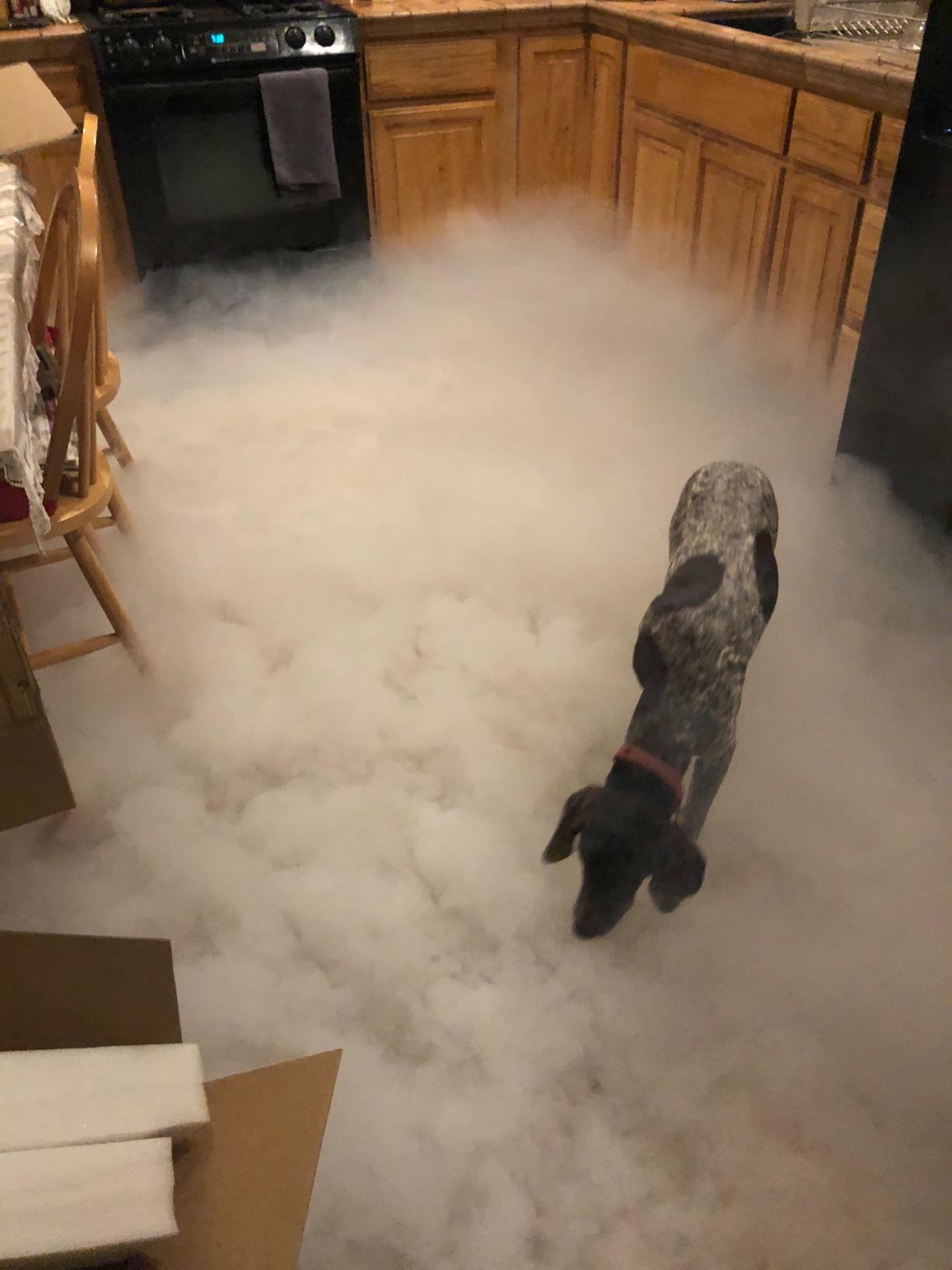 ADJ Products MISTER-KOOL-II Grave Yard Low Lying Water Based Fog Machine customer photo 2
