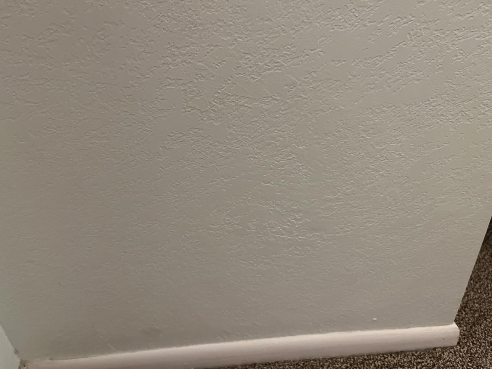 Homax 41072041218 Texture Touch Up Kit, Wall and Ceiling Texture and Sprayer customer photo 1