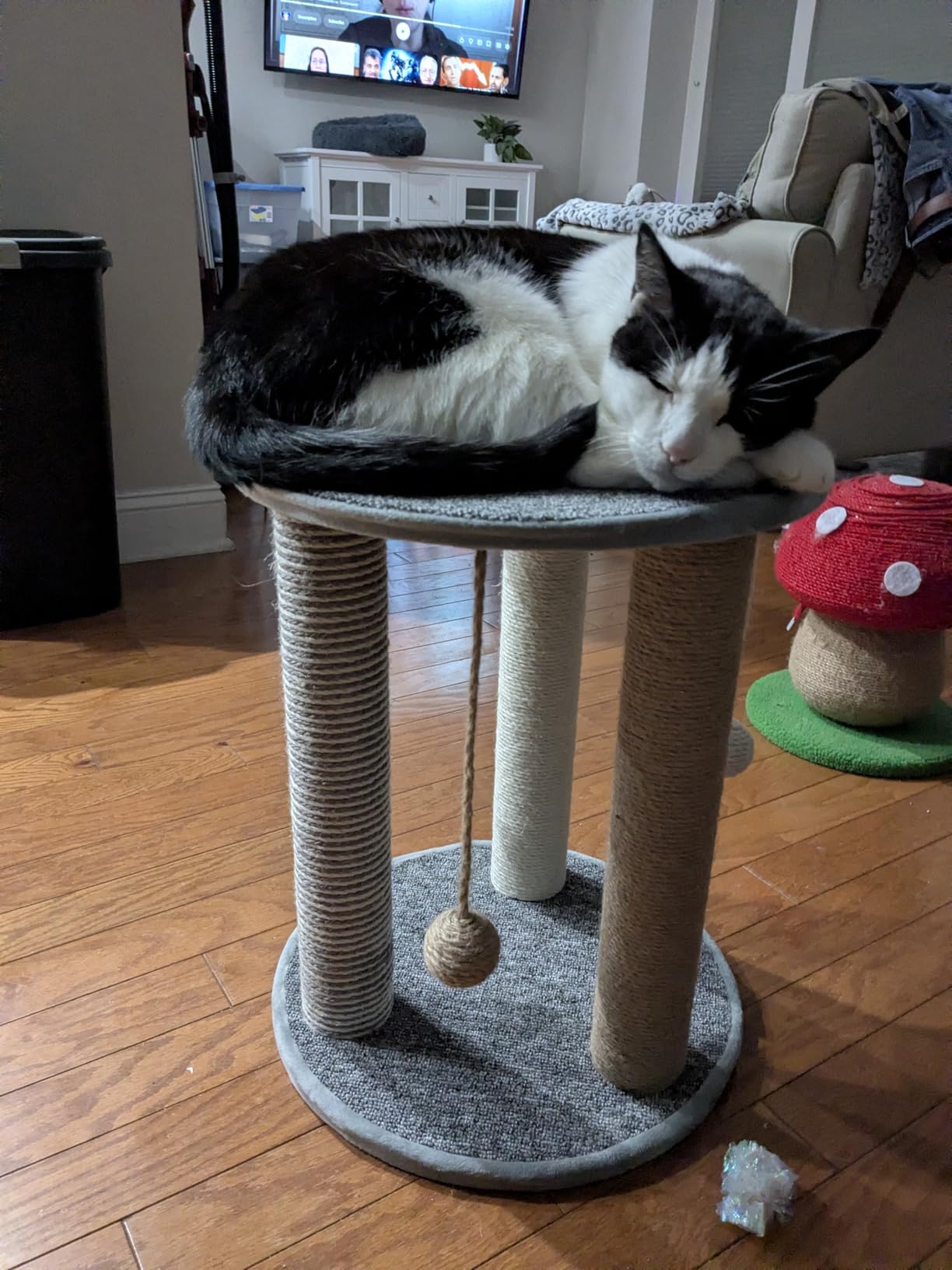 Cat Scratching Post - 3 Scratcher Posts with Carpeted Base Play Area and Perch - Furniture Scratching Deterrent for Indoor Cats by PETMAKER (Brown), Large customer photo 1