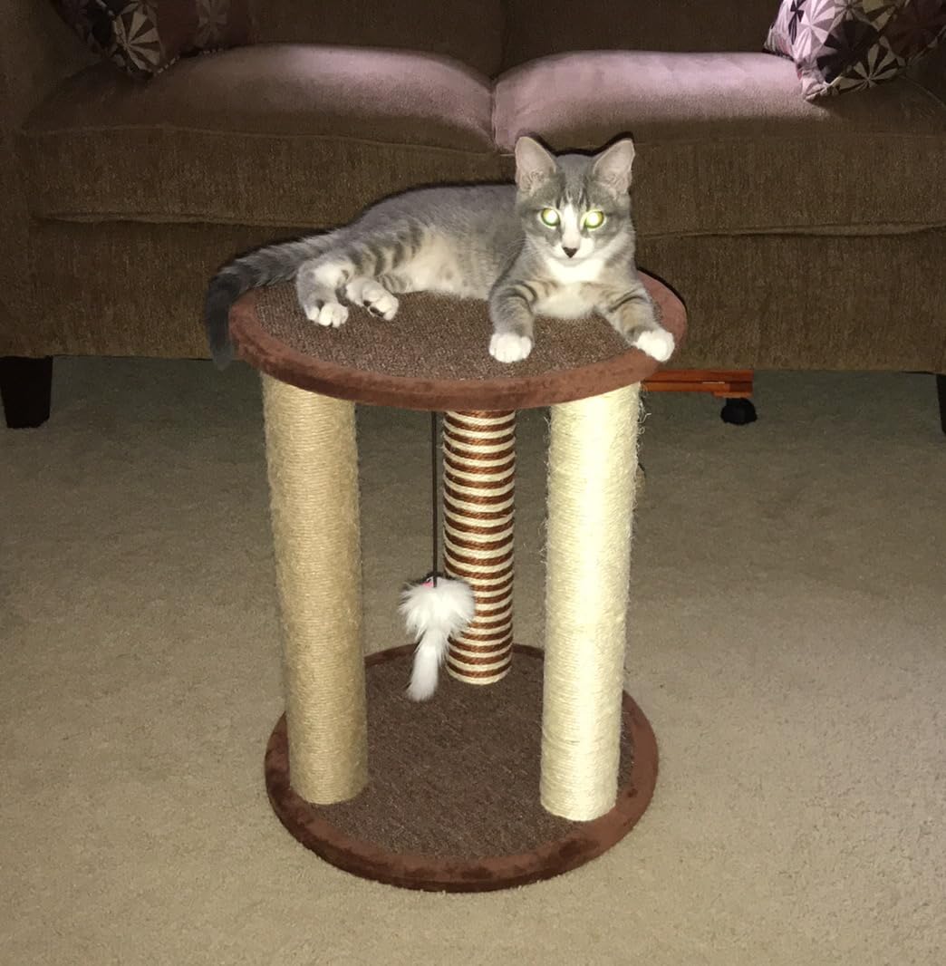 Cat Scratching Post - 3 Scratcher Posts with Carpeted Base Play Area and Perch - Furniture Scratching Deterrent for Indoor Cats by PETMAKER (Brown), Large customer photo 2