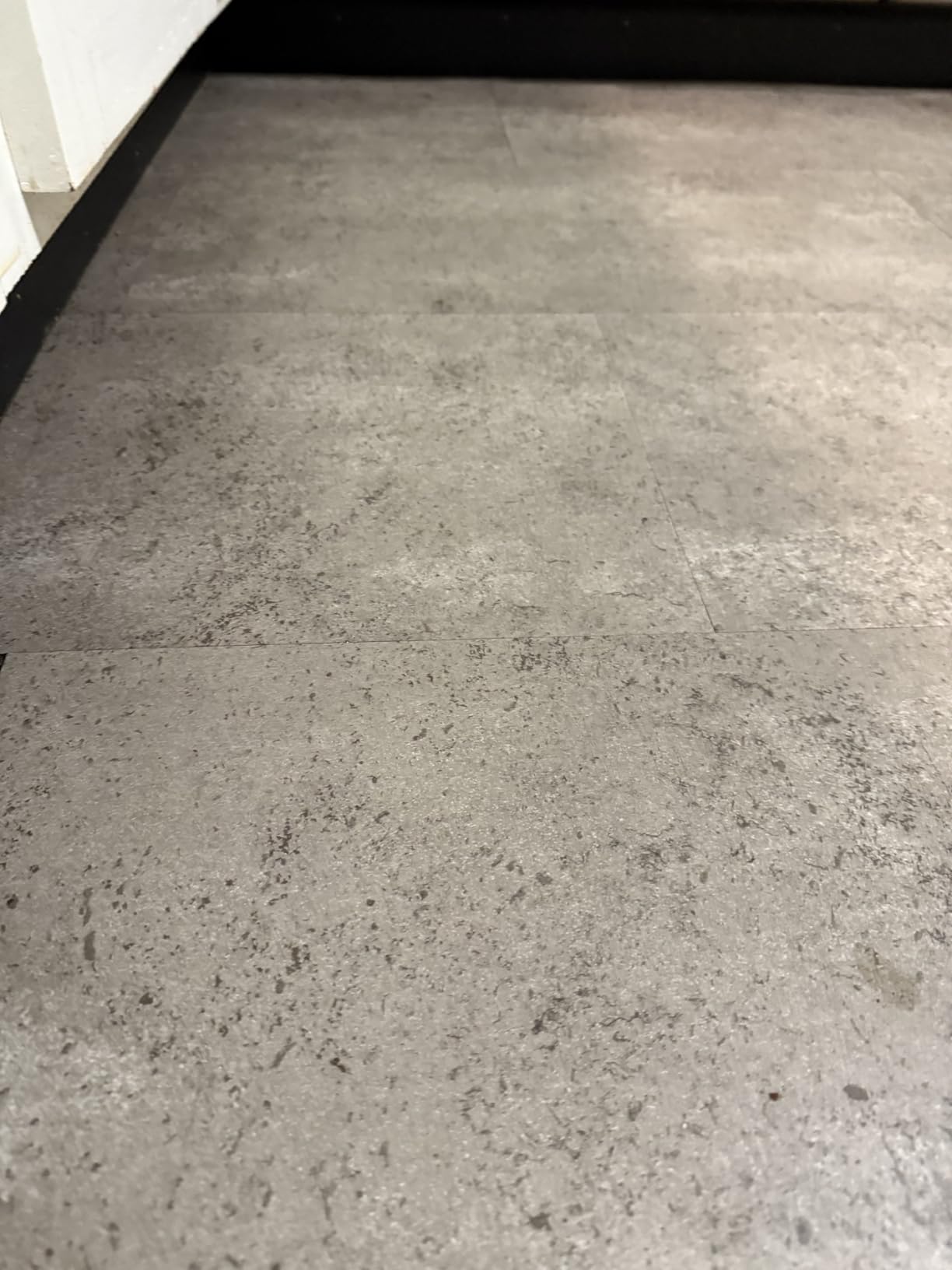 BISSELL Crosswave Pet Pro All in One Wet Dry Vacuum Cleaner and Mop for Hard Floors and Area Rugs, Purple, 2306A customer photo 2