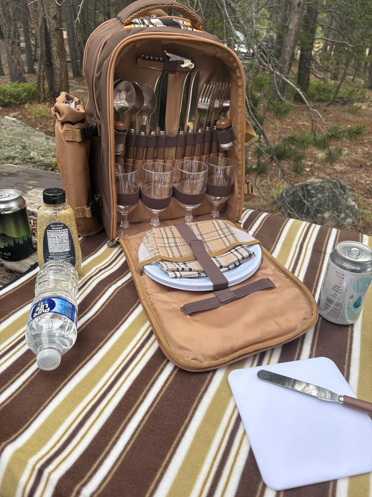 Apollo Walker Picnic Backpack Bag for 2 Person with Cooler Compartment, Detachable Bottle/Wine Holder, Fleece Blanket, Plates and Cutlery (Blue) customer photo 1