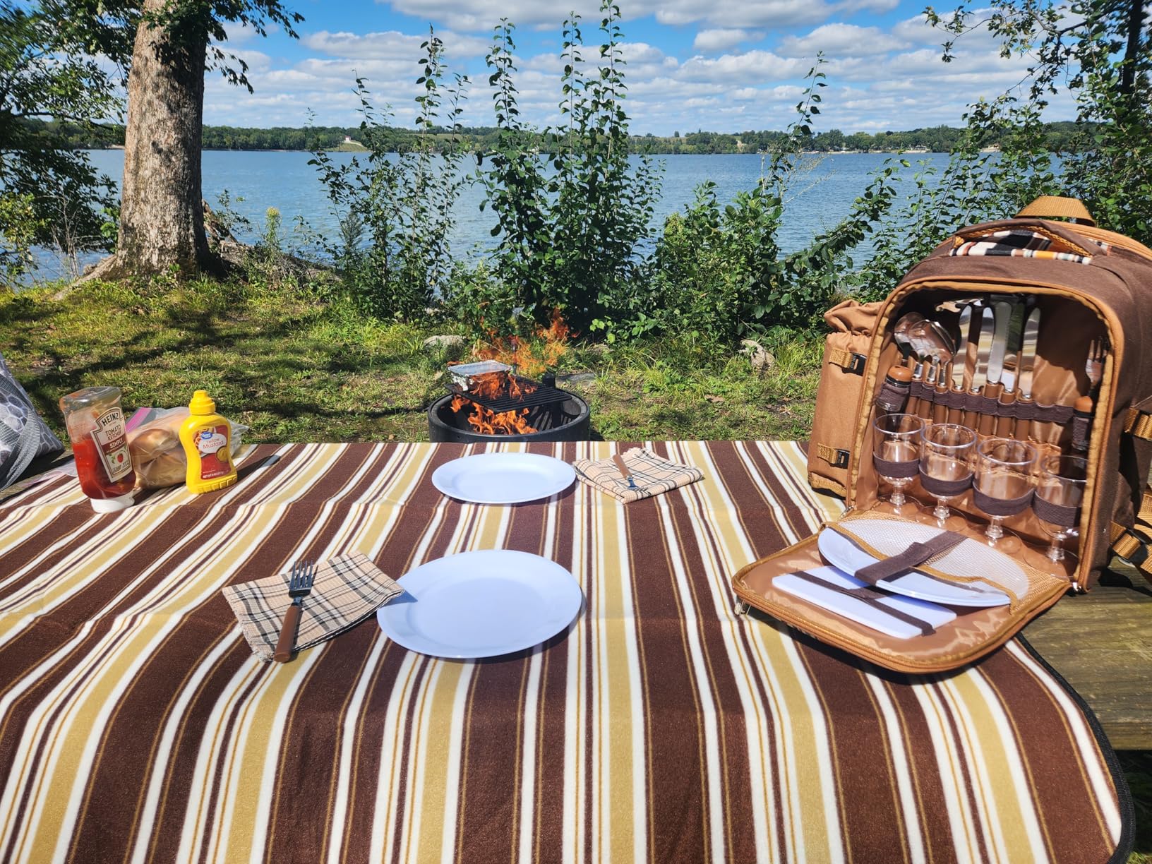 Apollo Walker Picnic Backpack Bag for 2 Person with Cooler Compartment, Detachable Bottle/Wine Holder, Fleece Blanket, Plates and Cutlery (Blue) customer photo 2