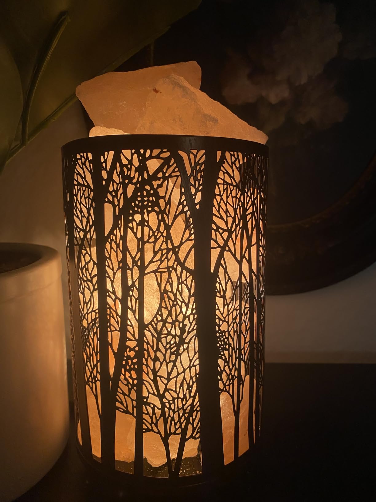 Shineled Himalayan Salt Lamp, Salt Rock Lamp Natural Night Light in Forest Design Metal Basket with Dimmer Switch, 25Watt Bulbs & ETL Cord 1 Pack customer photo 2