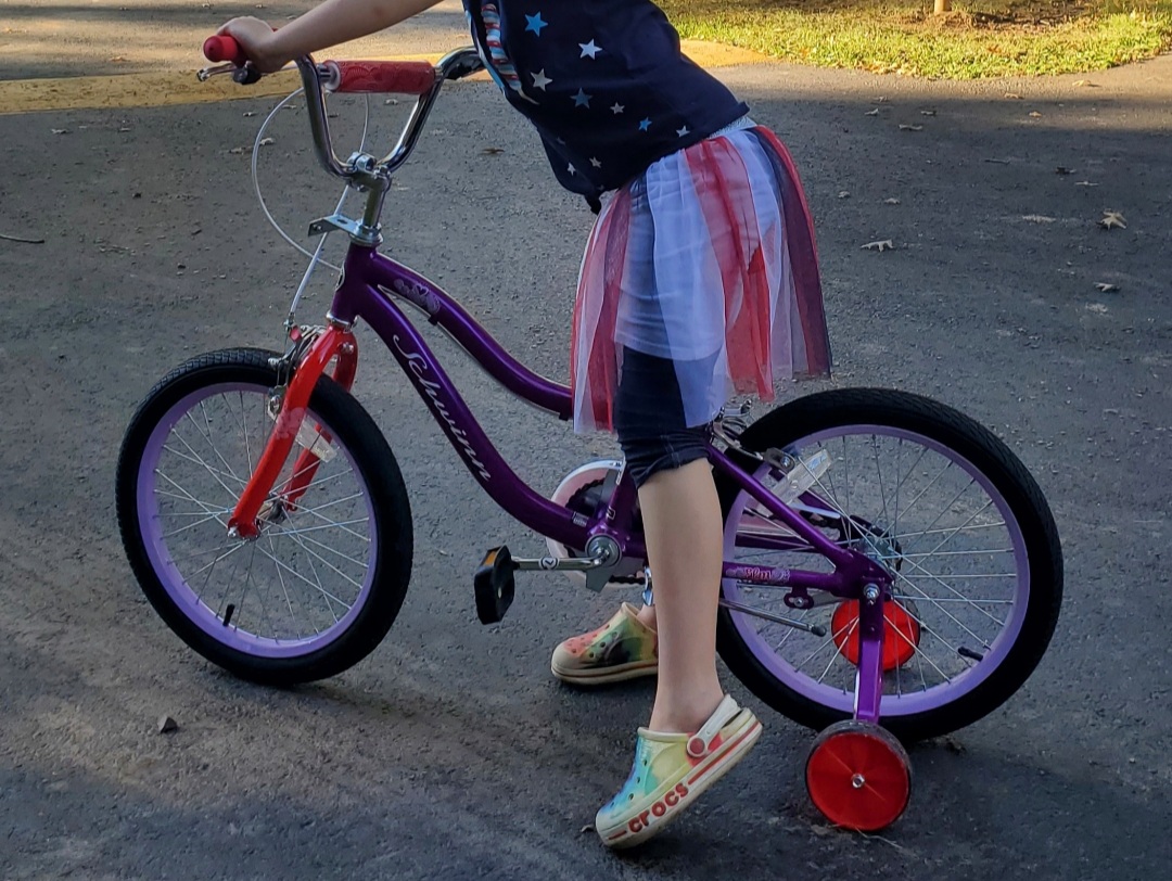 Schwinn Elm Bike, 16 Inch Bike for Kids Ages 3-7, SmartStart Ergonomic Design, Adjustable Seat, Rear Coaster and Front Caliper Brake customer photo 2