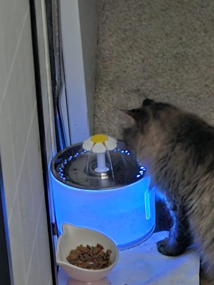 Wonder Creature Cat Water Fountain with Stainless Steel Lid, 2.4L/81oz Automatic Cat Fountain with LED Light and Water Level Window for Cats and Dogs customer photo 1