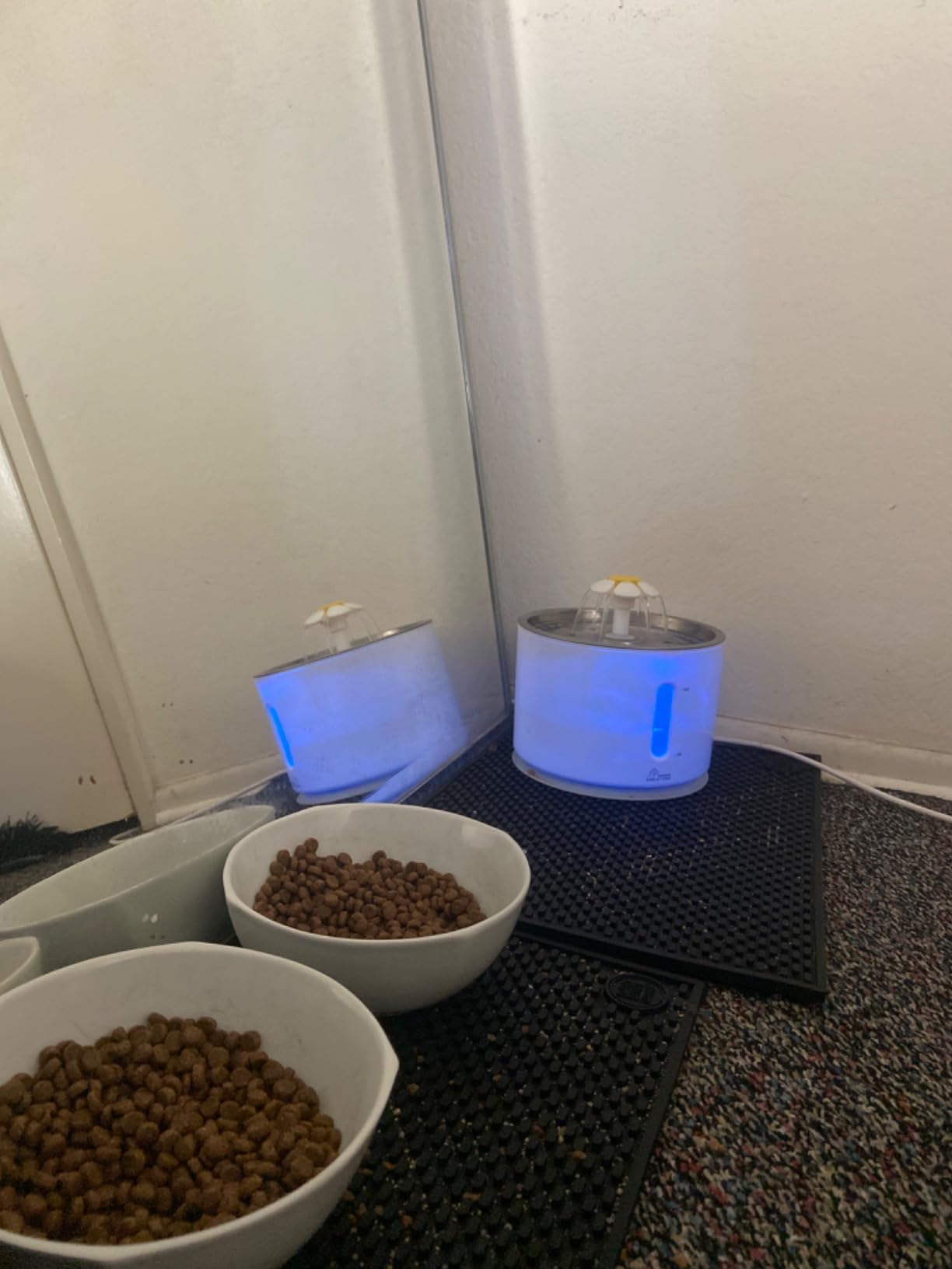 Wonder Creature Cat Water Fountain with Stainless Steel Lid, 2.4L/81oz Automatic Cat Fountain with LED Light and Water Level Window for Cats and Dogs customer photo 2