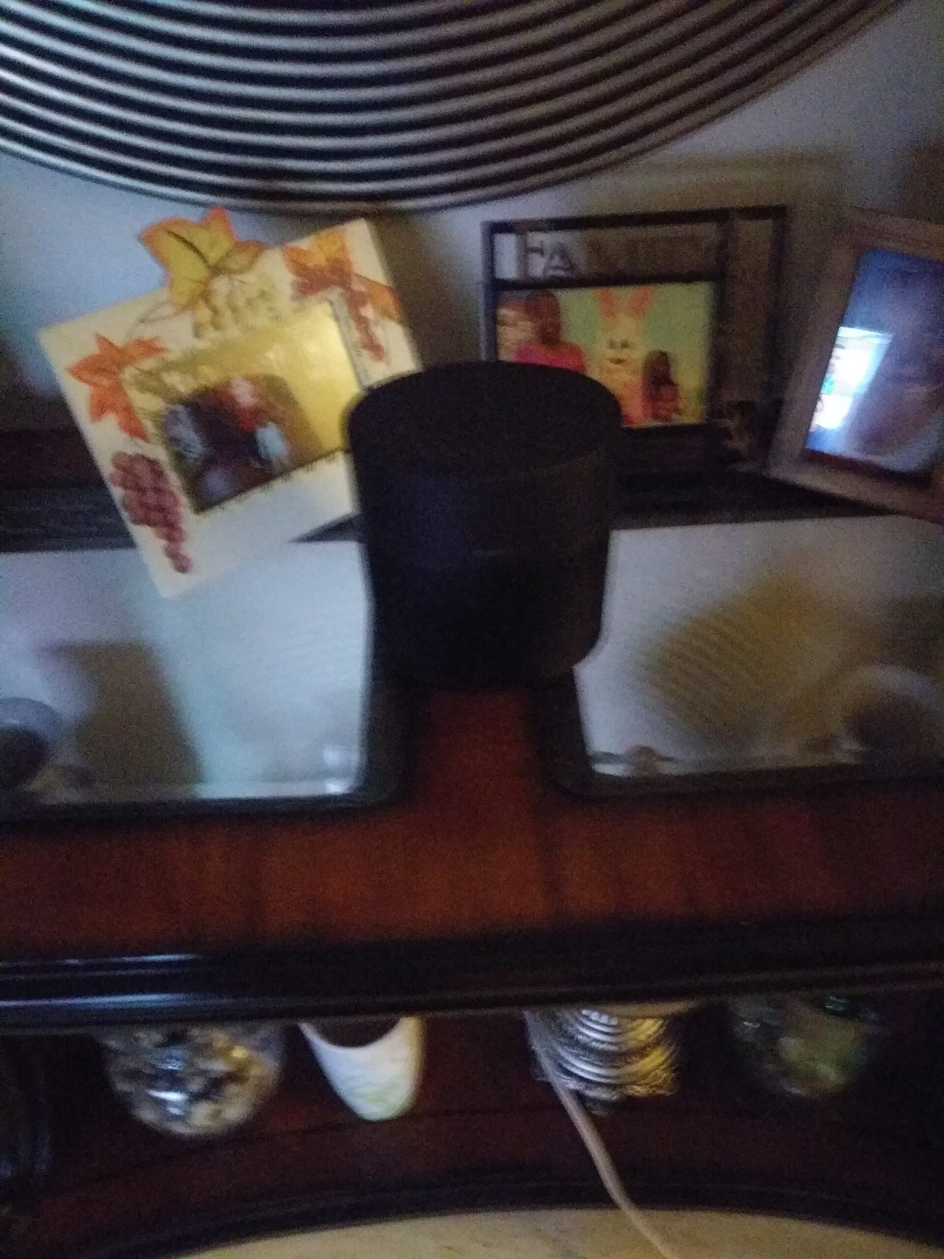 Bose Home Speaker 300: Bluetooth Smart Speaker with Amazon Alexa Built-in, Silver customer photo 1