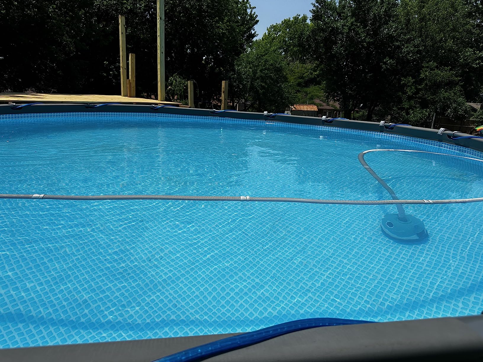 Hayward W3900 Wanda the Whale Above-Ground Suction Pool Cleaner for Any Size Pool, Automatic Pool Vacuum Cleaner customer photo 1