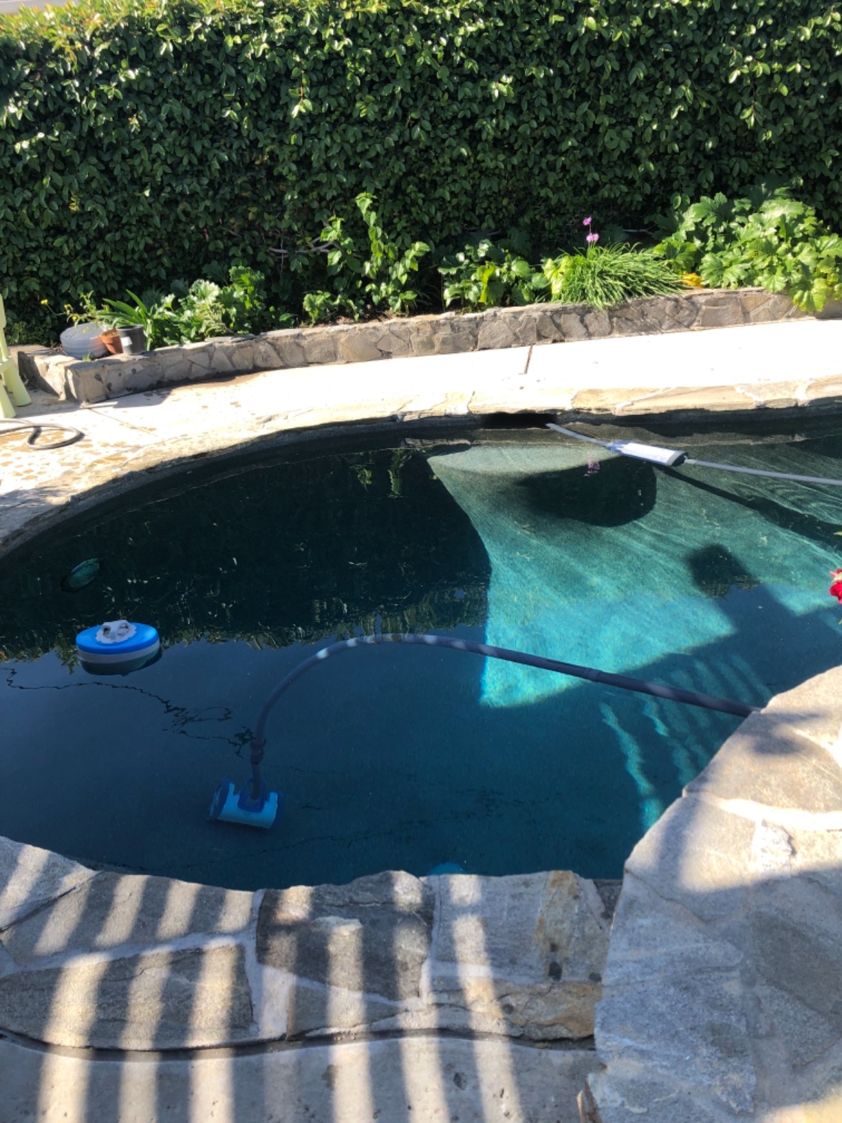 Hayward Aquanaut 400 Suction Pool Cleaner for In-Ground Pools up to 20 x 40 ft (Automatic Pool Vacuum) W3PHS41CST customer photo 2