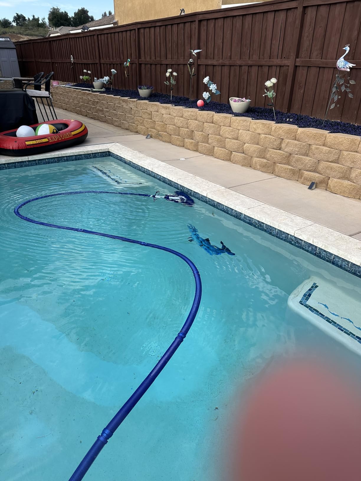 VINGLI Pool Vacuum Cleaner Automatic Sweeper Swimming Pool Creepy Crawler Vacuum with 33FT Hoses (Navy Blue&White) customer photo 2