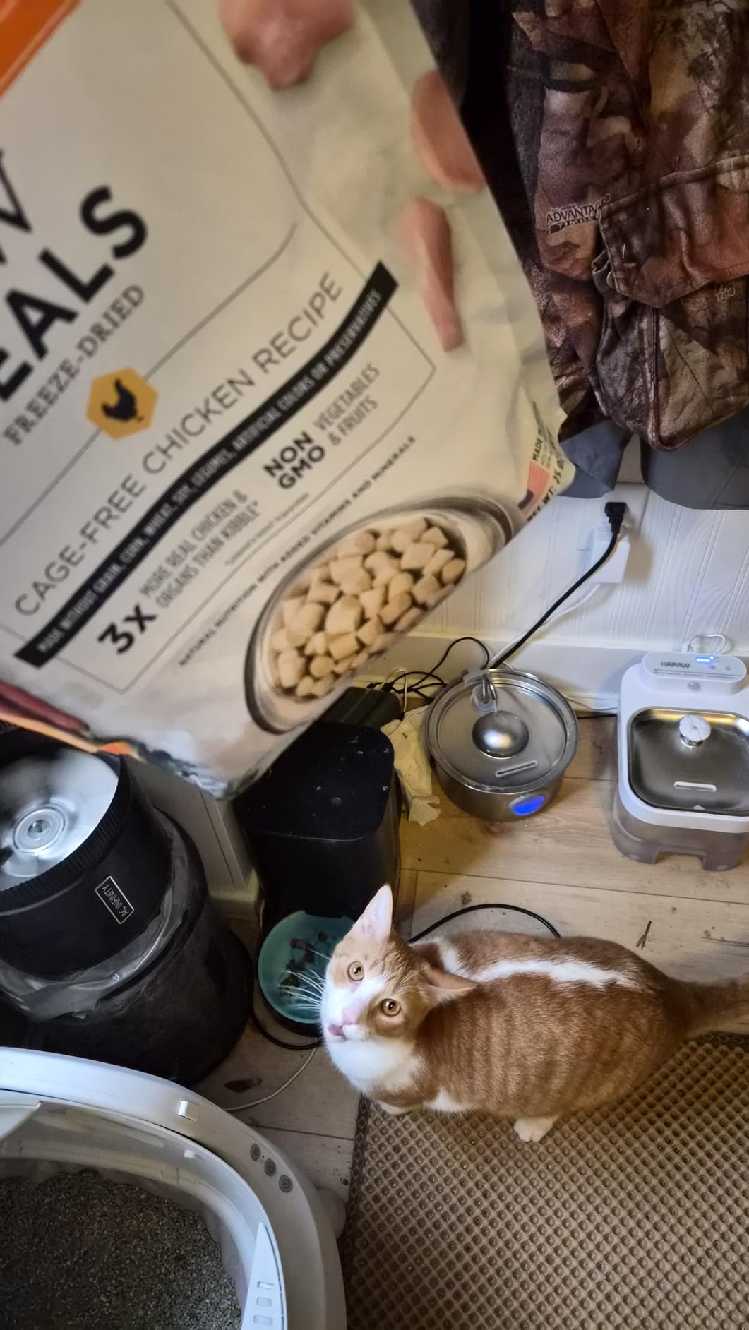 Instinct Raw Meals Freeze-Dried Chicken Cat Food, 9.5 oz. Bag customer photo 2