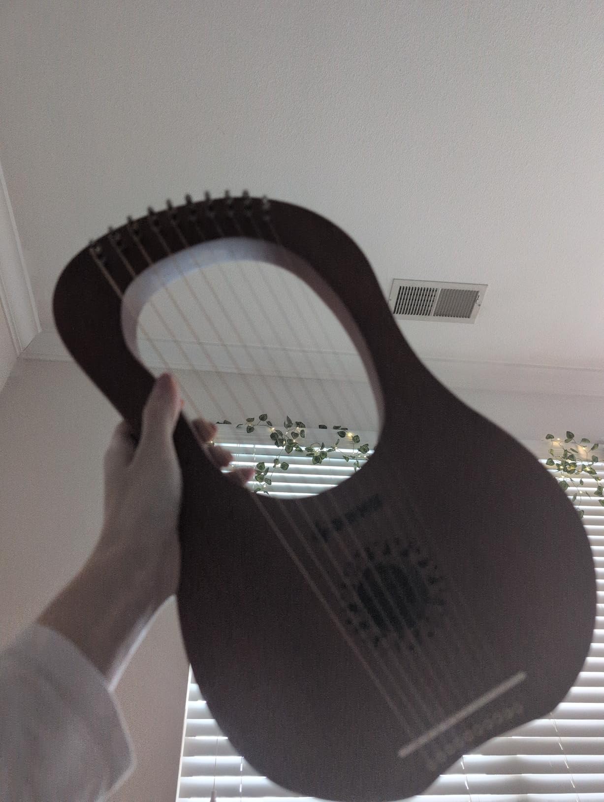 Donner Lyre Harp, 16 Metal Strings, Mahogany Body and Copper Saddle DLH-003 Lyre Harp with Tuning Wrench, Spare String Set, Black Gig Bag, Manual, Ancient Greece Style customer photo 2