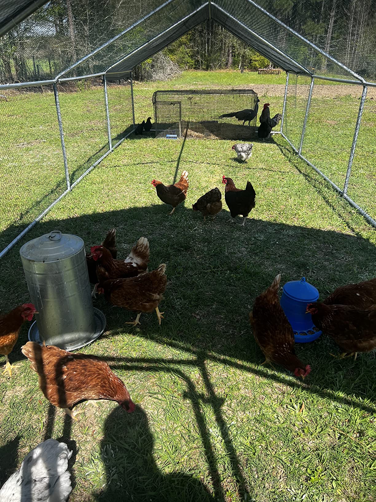 PawHut Large Chicken Coop Metal Chicken Run with Waterproof and Anti-UV Cover, Spire Shaped Walk in Fence Cage Hen House for Outdoor and Yard Farm Use, 1.26
