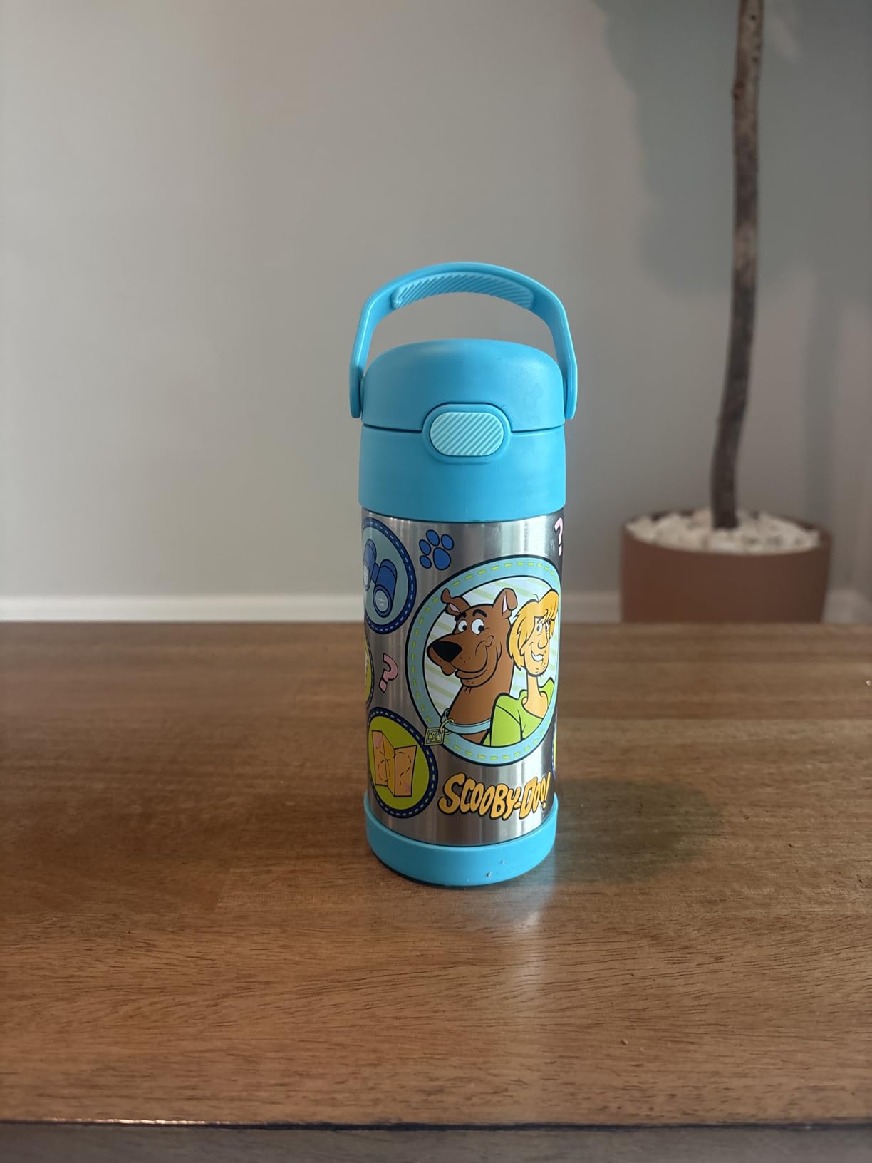 THERMOS FUNTAINER Water Bottle with Straw - 12 Ounce - Kids Stainless Steel Vacuum Insulated Water Bottle with Lid, Frozen 2 customer photo 1