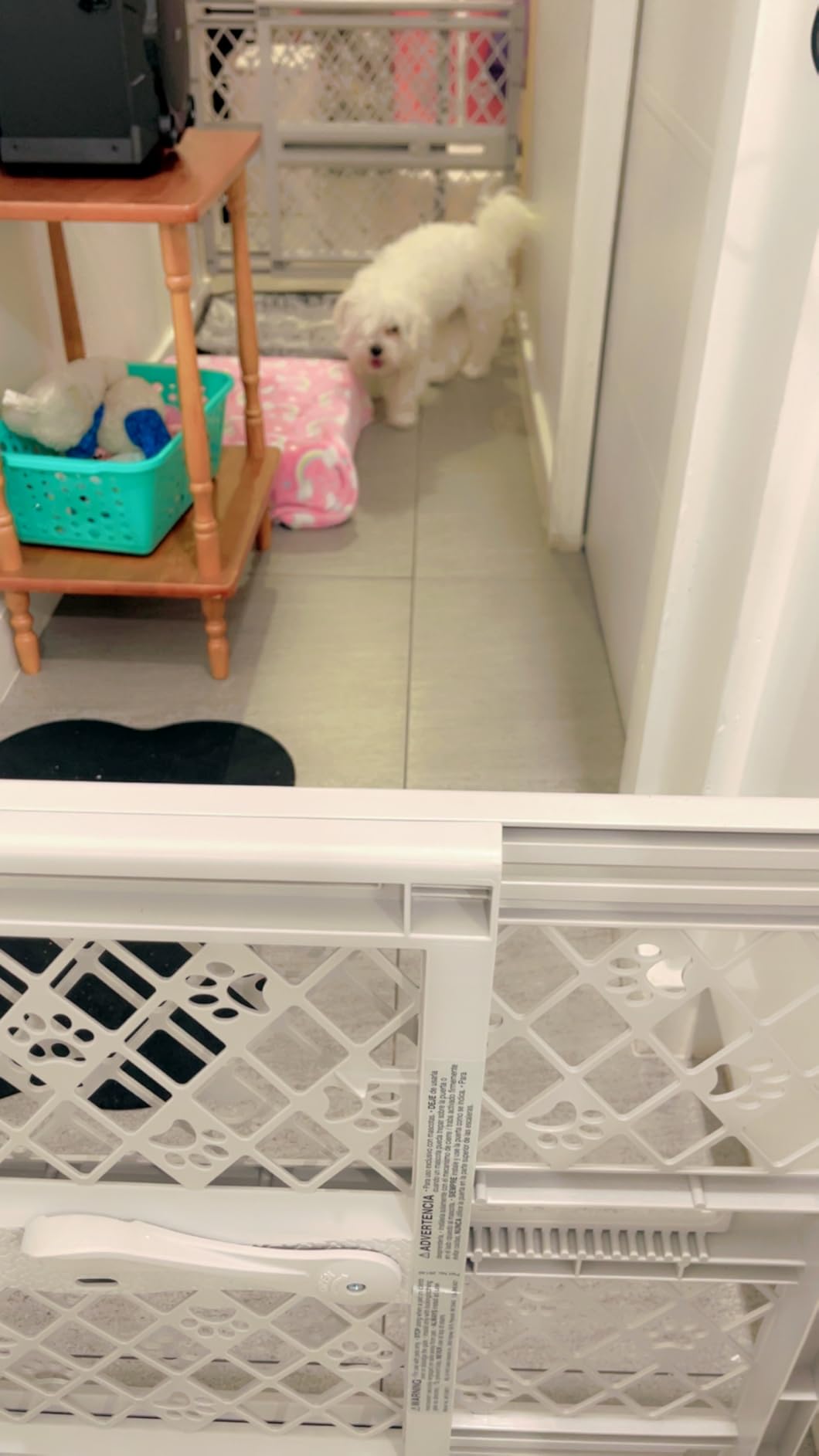 MYPET Paws Portable Pet Gate: 26-40