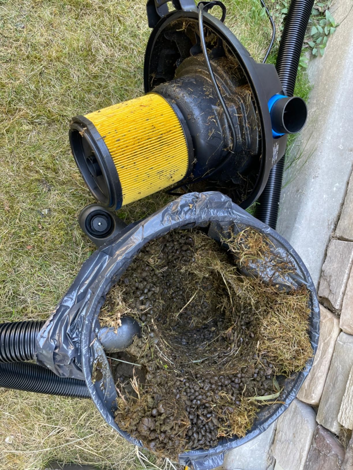 Vacmaster Wet/Dry Vacuum with Detachable Blower 6 Gallon 5 Peak HP-VBVB611PF 1101 customer photo 1