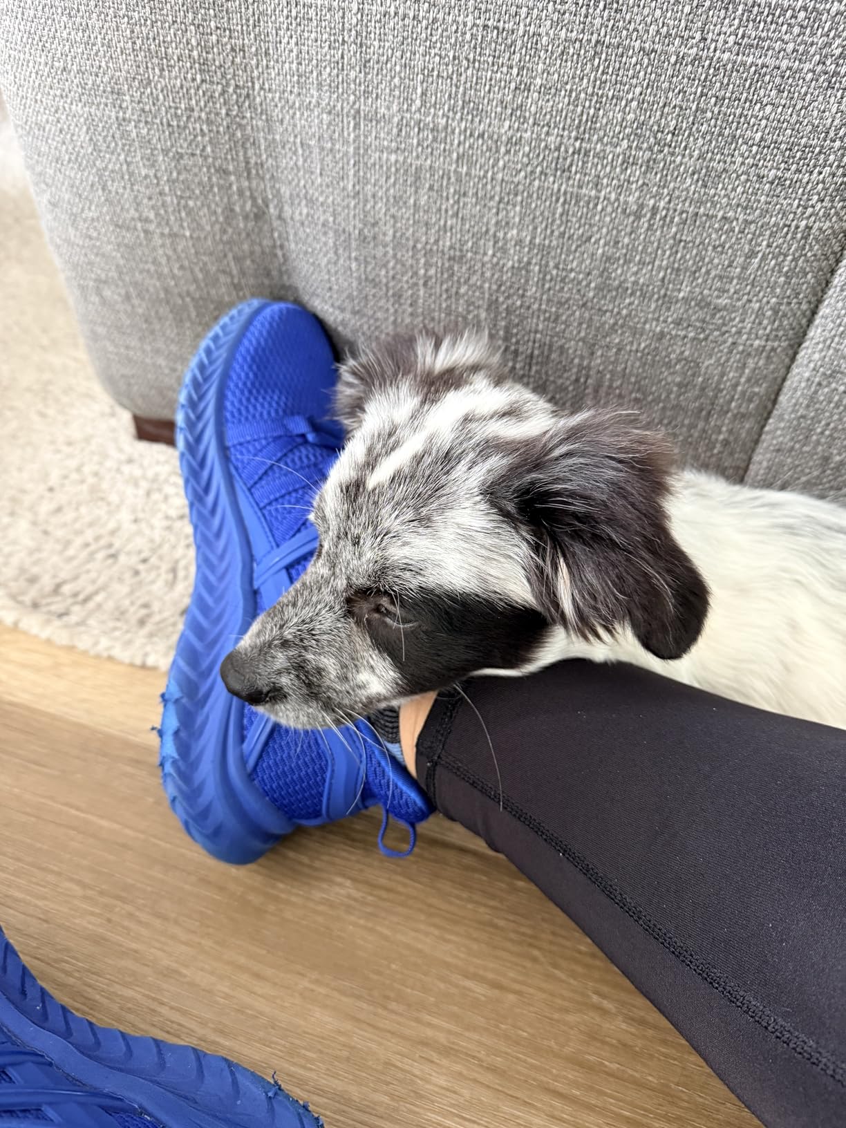 Abboos Womens Slip On Sneakers Women Walking Tennis Shoes Lightweight Casual Sneakers for Gym Travel Work customer photo 1