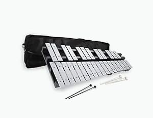 Heuyrao 30 Notes Foldable Glockenspiel Xylophone, Percussion Instrument Kit for Beginner- Includes 4 Mallets and Carrying Bag customer photo 1